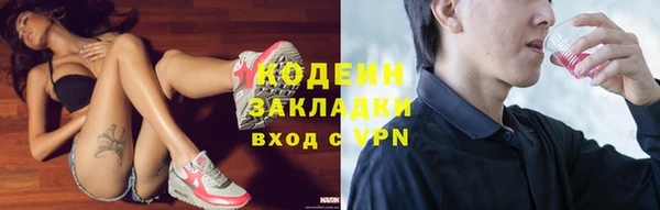 дурь Инсар