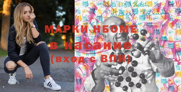 дурь Инсар