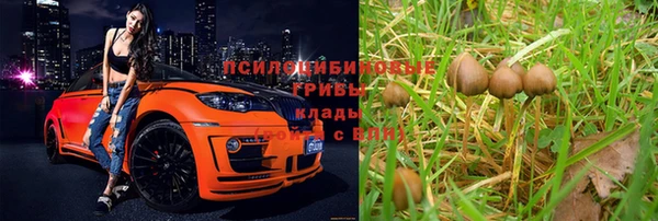 дурь Инсар