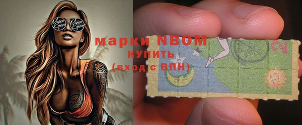 дурь Инсар
