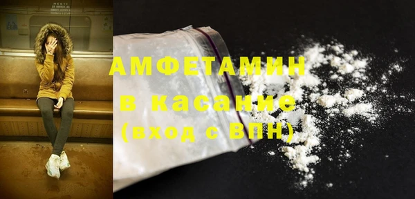 дурь Инсар