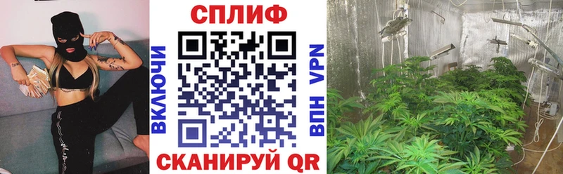 Бошки Шишки тримм  Купить закладки  Пойковский 